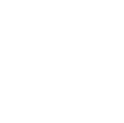 TeamMiaozi
